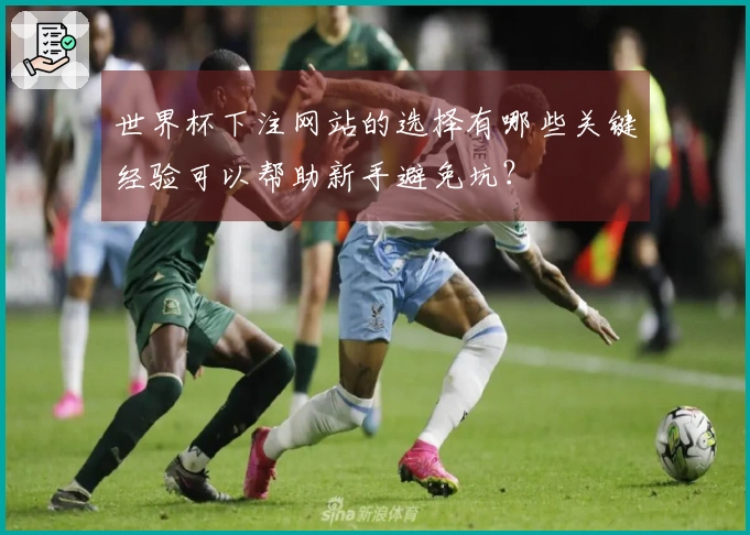 世界杯下注网站的选择有哪些关键经验可以帮助新手避免坑？